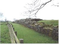 Remains of Hadrian's Wall