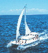 Pacific Star photo courtesy Kelly Dive